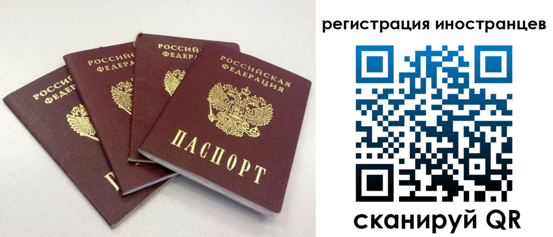 временная регистрация для школы в Каменск-Шахтинском